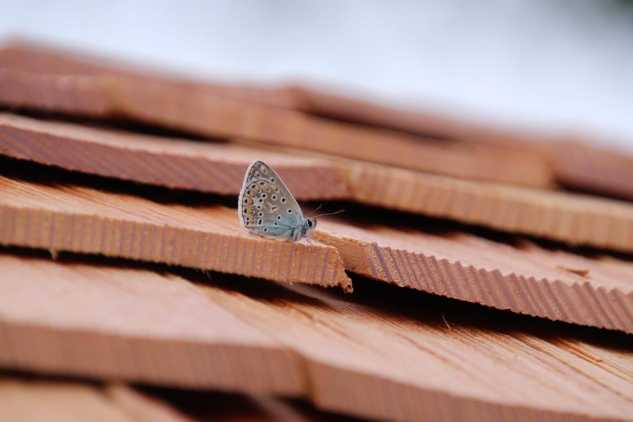 L'Insolite Jurassienne Dompierre-sur-Mont Exteriör bild